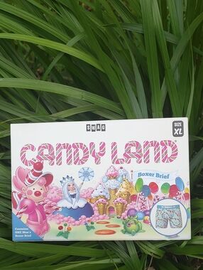 Swag Hasbro Candy Land Mens Novelty Boxers New Sealed In Box Size XL